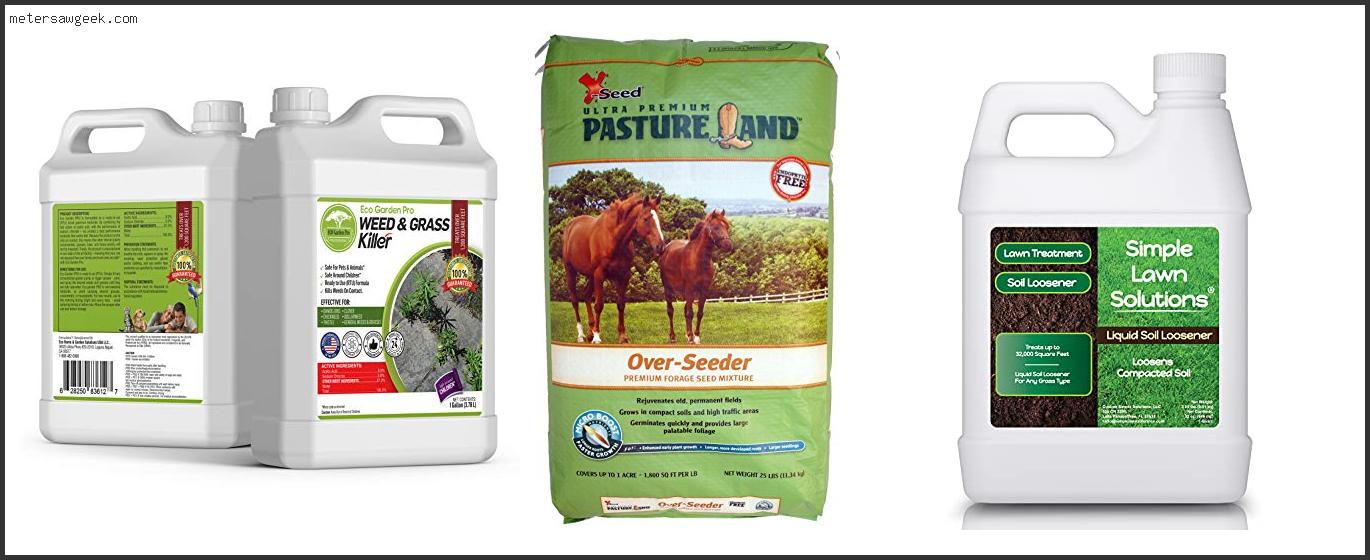 Best Time To Spray Pasture For Weeds – Buying Guide [2022]